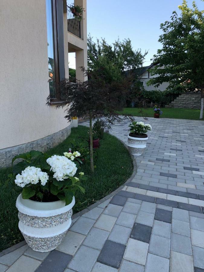 Eden Blue Hotel Костинещи Екстериор снимка
