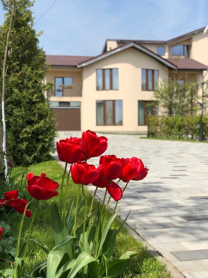 Eden Blue Hotel Костинещи Екстериор снимка